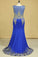2023 Dark Royal Blue Prom Dresses Scoop Mermaid With Applique Spandex Sweep Train Size 18W