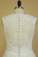 2024 Plus Size V-Neck Wedding Dresses A-Line Court Train Tulle With Applique & Belt Covered Button