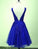 Lovely Blue Homecoming Dresses Mariyah Lace V-Neckline Applique HC12263