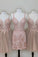 Blush Lace Avah Homecoming Dresses Pink Hoco Dress HC24513