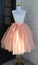 Beautiful Tutu Tulle Skirt Spaghetti Homecoming Dresses Yareli Straps HC3697