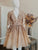 Deep V Neck Champagne Areli Homecoming Dresses Short With Appliques HC520