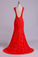 2024 V-Neck Tulle Evening Dresses Mermaid With Applique