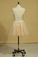 2024 Plus Size Homecoming Dresses A Line Short/Mini Sweetheart With Beads And Bow Knot